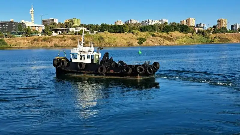 વર્ક બોટ વેચાણ માટે