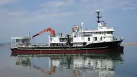 પર્સ સીનર વેચાણ માટે