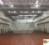 રો-રો જહાજ વેચાણ માટે
