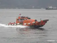 ટોવબોટ વેચાણ માટે