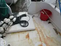 ટ્રોલર વેચાણ માટે