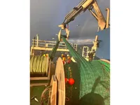 ફેરી જહાજ વેચાણ માટે