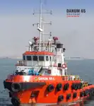 ટોવબોટ વેચાણ માટે