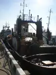 ટોબોટ વેચાણ માટે
