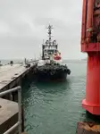 ટોબોટ વેચાણ માટે