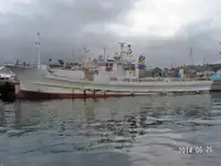 લોંગલાઇનર વેચાણ માટે