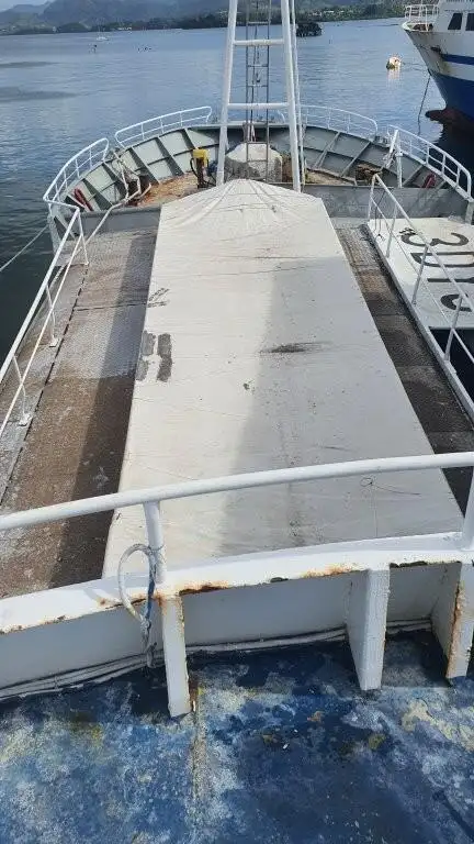 લોંગલાઇનર વેચાણ માટે
