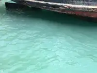 ટોબોટ વેચાણ માટે