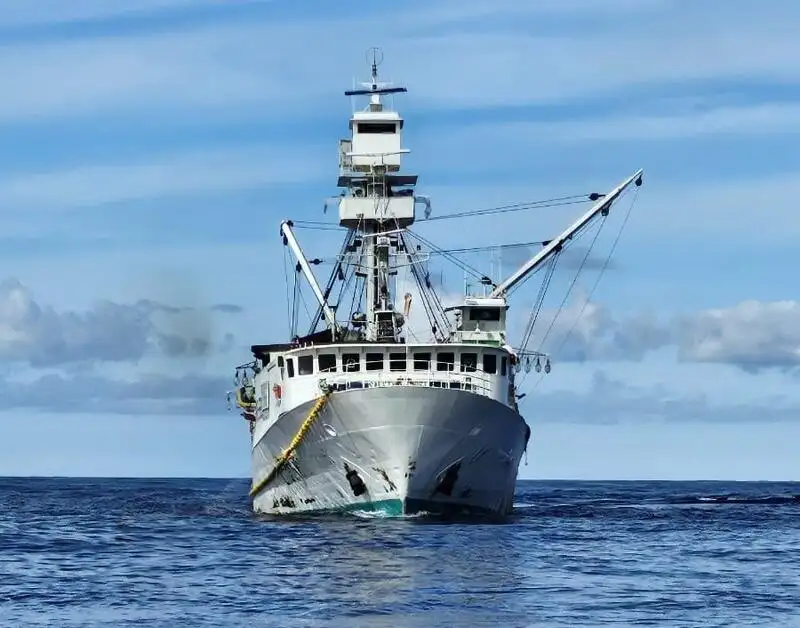 સીનર વેચાણ માટે