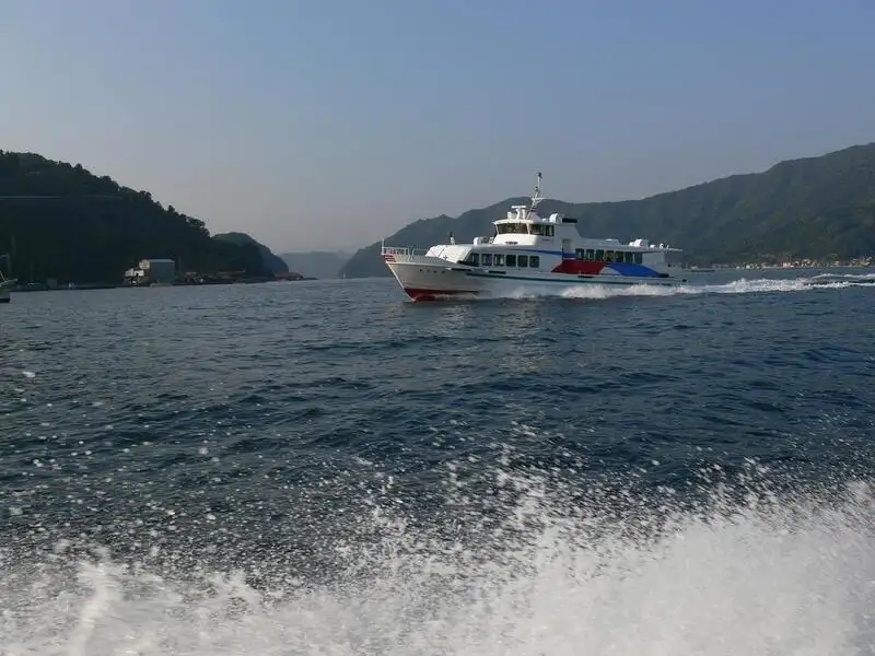 ફેરી જહાજ વેચાણ માટે