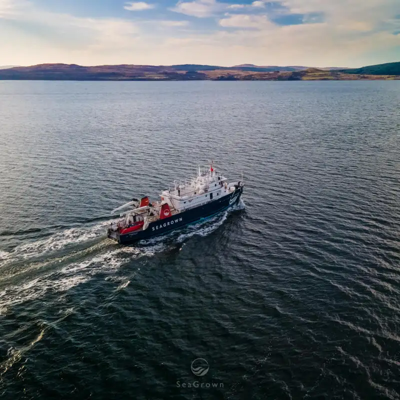 સર્વે જહાજ વેચાણ માટે