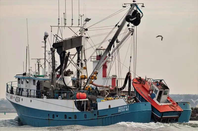 સીનર વેચાણ માટે