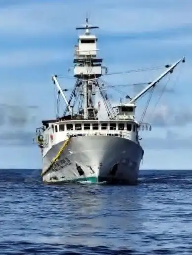 સીનર વેચાણ માટે