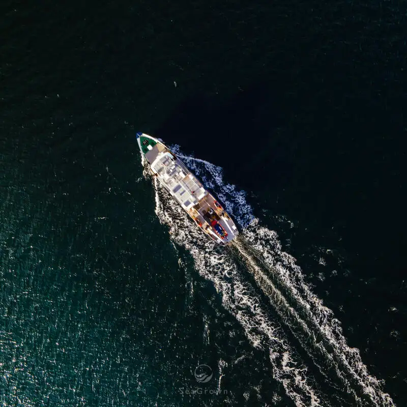 સર્વે જહાજ વેચાણ માટે