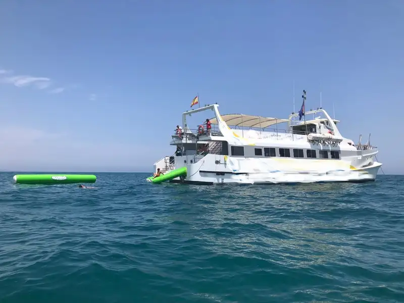 ફેરી જહાજ વેચાણ માટે