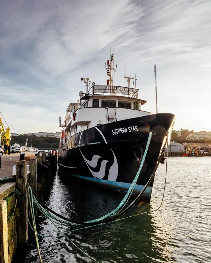 સર્વે જહાજ વેચાણ માટે