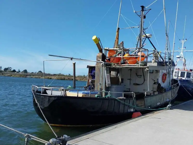 લાંબી લાઇનનું જહાજ વેચાણ માટે