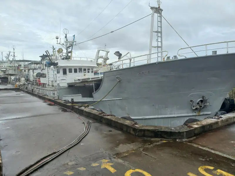 લાંબી લાઇનનું જહાજ વેચાણ માટે