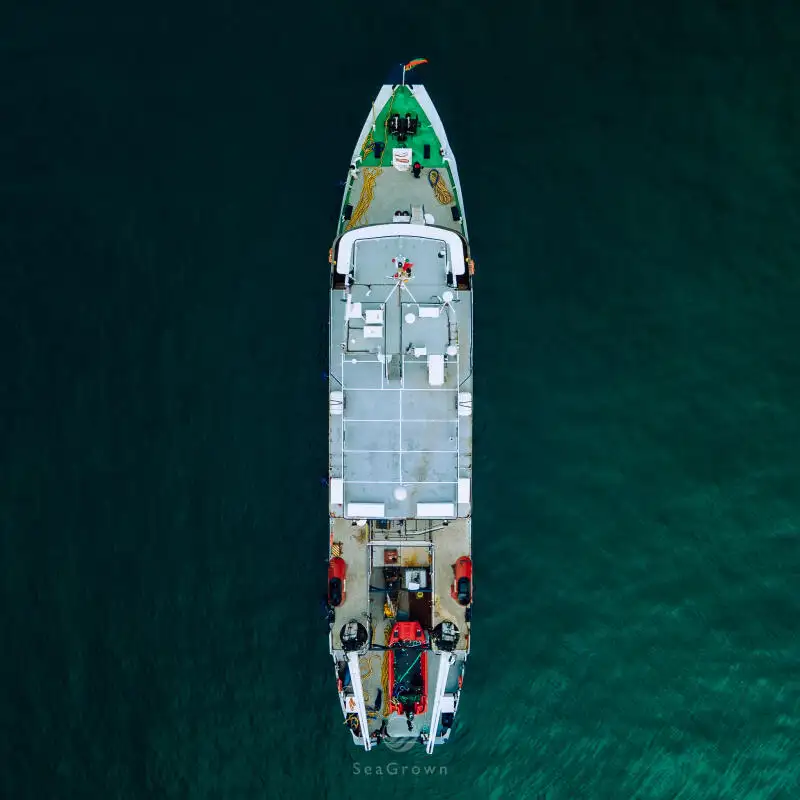 સર્વે જહાજ વેચાણ માટે