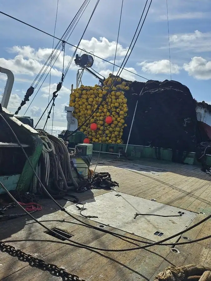 સીનર વેચાણ માટે