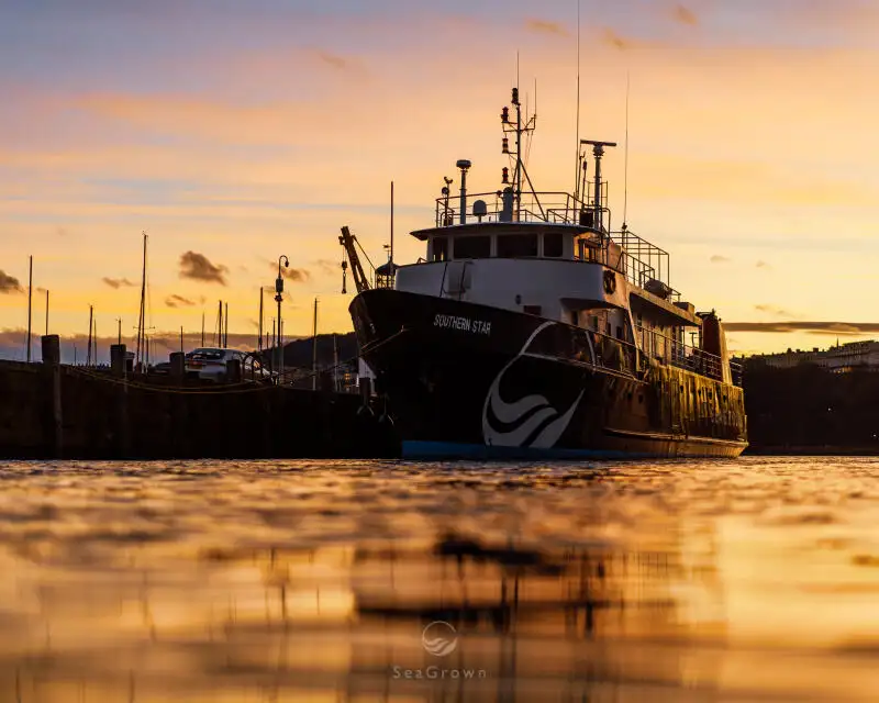 સર્વે જહાજ વેચાણ માટે