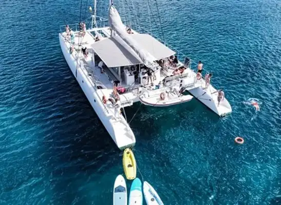 Catamaran for sale