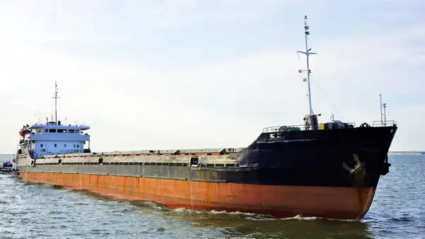 Bulk carrier for sale