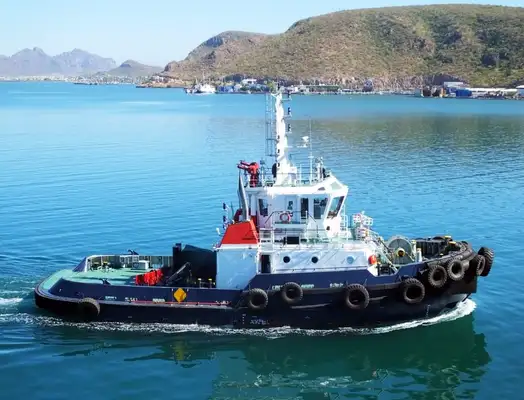 Bulk carrier for sale