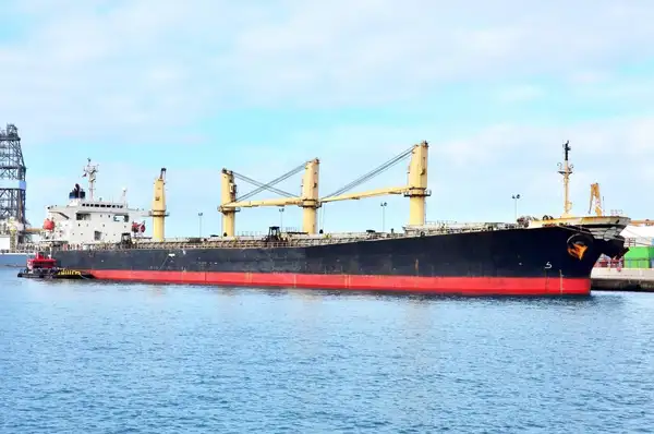 Bulk carrier for sale