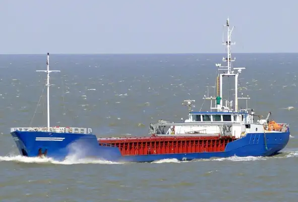 Bulk carrier for sale