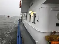 બહુહેતુક વેચાણ માટે