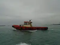 ટોવબોટ વેચાણ માટે