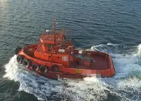 ટોવબોટ વેચાણ માટે