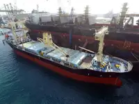 બલ્ક કેરિયર વેચાણ માટે