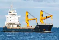 બલ્ક કેરિયર વેચાણ માટે