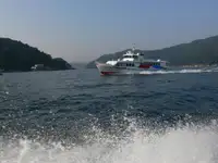 ફેરી જહાજ વેચાણ માટે