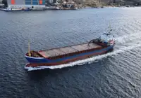 બલ્ક કેરિયર વેચાણ માટે