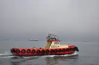 ટોવબોટ વેચાણ માટે