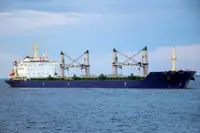 બલ્ક કેરિયર વેચાણ માટે