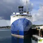 સર્વે જહાજ વેચાણ માટે