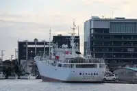 માછીમારી ટ્રોલર વેચાણ માટે