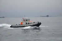 ટોવબોટ વેચાણ માટે
