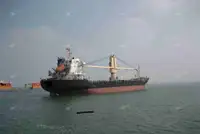બલ્ક કેરિયર વેચાણ માટે