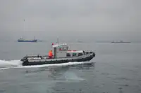 ટોવબોટ વેચાણ માટે