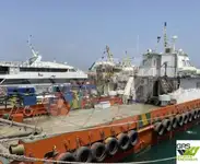 વિન્ડ ફાર્મ જહાજ વેચાણ માટે