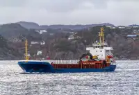 બલ્ક કેરિયર વેચાણ માટે