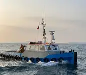 ટોવબોટ વેચાણ માટે