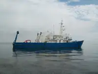બહુહેતુક વેચાણ માટે