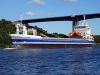 બલ્ક કેરિયર વેચાણ માટે