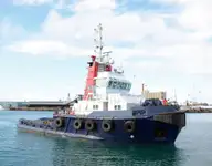 ટોવબોટ વેચાણ માટે